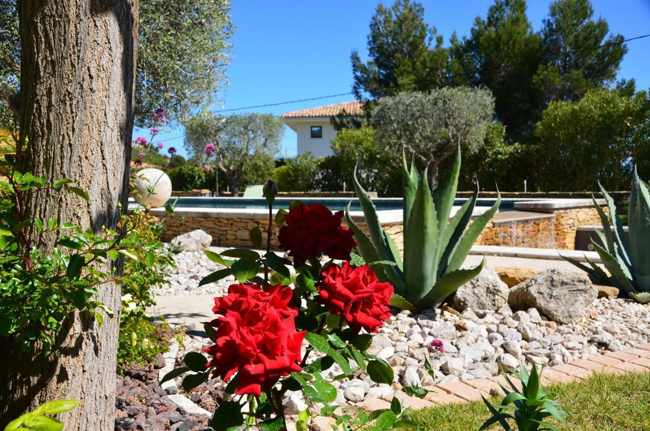 Appartements Du Jas De Clare La Cadiere-d'Azur Esterno foto